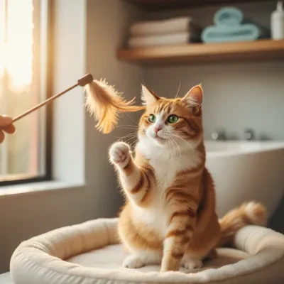 Voyager avec son animal depuis la Belgique : Le guide du passeport européen et des normes AFSCA