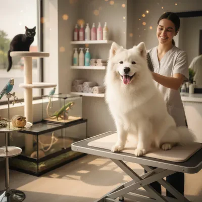 Pet Groomer Licensing: What Is Required by Law vs. What Is Voluntary Across the US, UK, Australia, Canada, and the EU