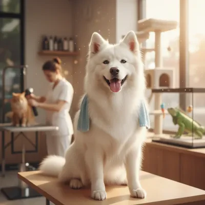 Traceurs GPS pour chiens en France : guide comparatif 2026