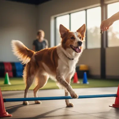 Bloat in Dogs: The Emergency Timeline You Must Know